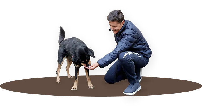 Metodologia dos Cães